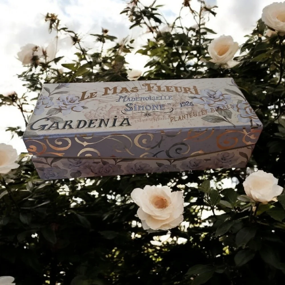 Decorative Storage Box With Gardenias In Good Shape 11.25x4.5